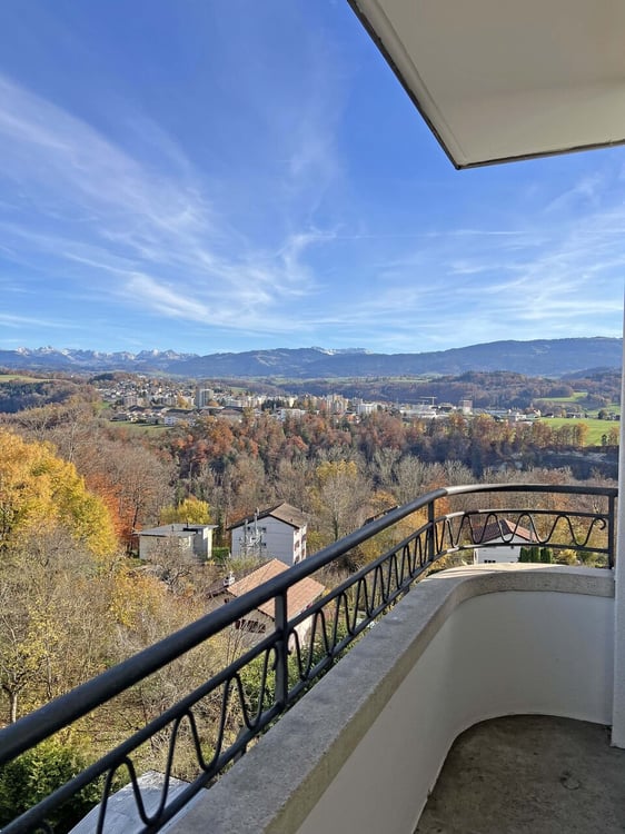 Appartement 1.5 pièces au somment de l'immeuble 6