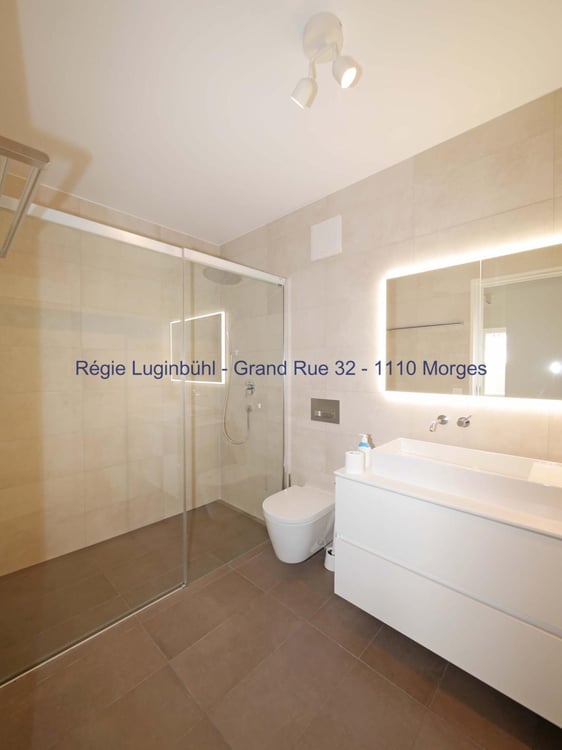 Au bort du Lac - lumineux - standing 12