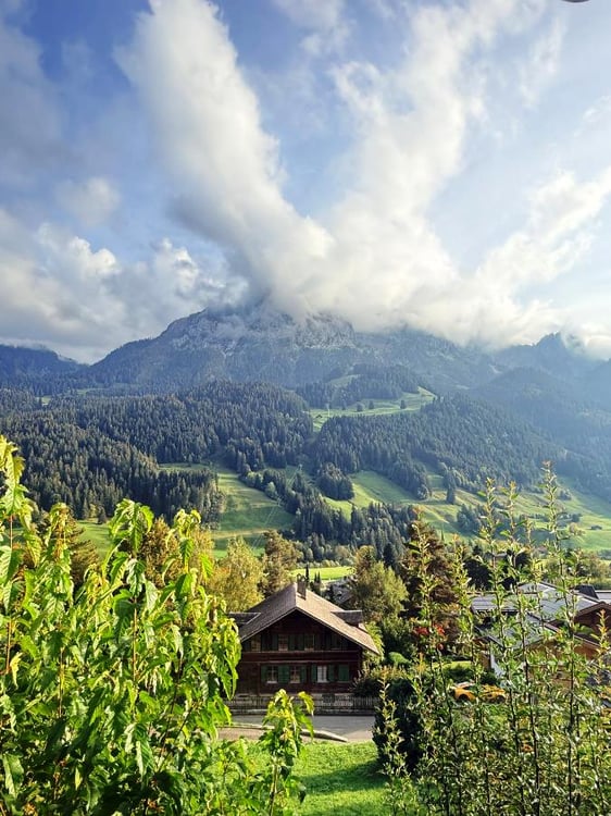 Charmant appartement de 3,5 pièces avec terrasse et vue sur les montagnes et la vallée à Rougemont 17