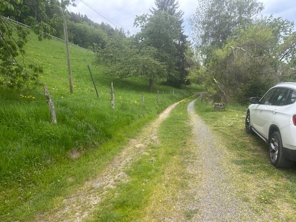 Unique en son genre : demi-chalet à Chamby 9