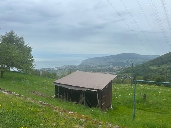 Unique en son genre : demi-chalet à Chamby 5