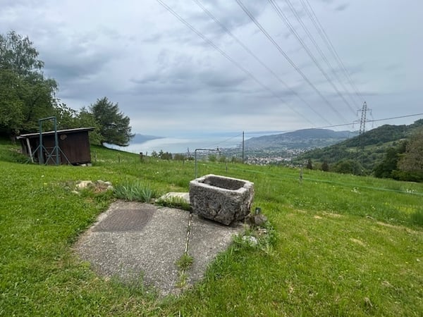Unique en son genre : demi-chalet à Chamby 13