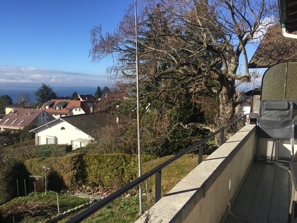 A louer appartement dans villa individuelle avec terrasse arborisée. 8