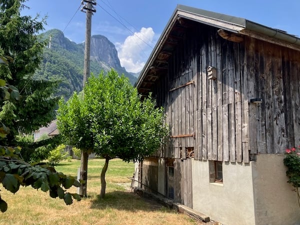 Complexe immobilier avec potentiel de création de logements à Chessel 9