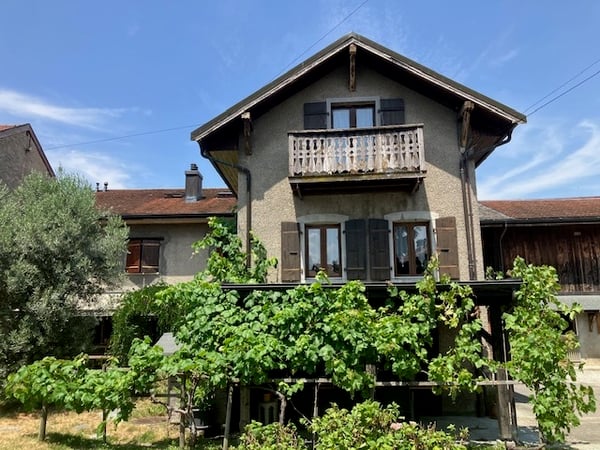 Complexe immobilier avec potentiel de création de logements à Chessel 1