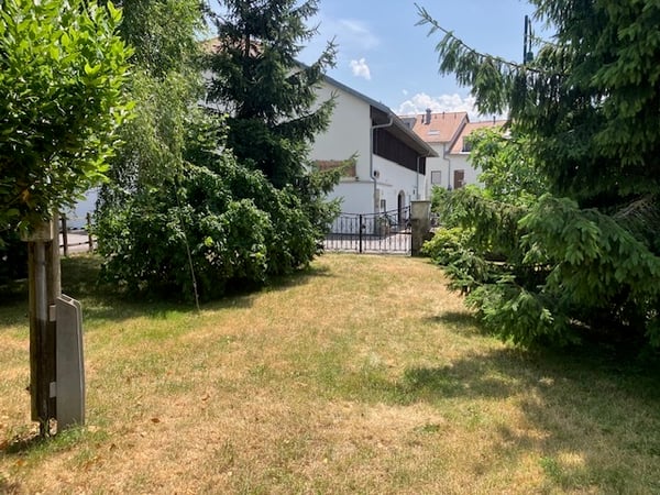 Complexe immobilier avec potentiel de création de logements à Chessel 6
