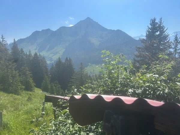 Chalet bergerie au calme à la montagne. Confort rustique. Unique ! 10