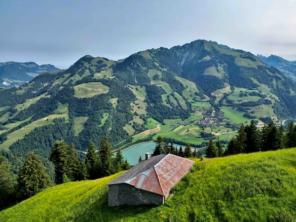 À vendre, Chalet, 1658 Rossinière, Réf Tsamufins 2
