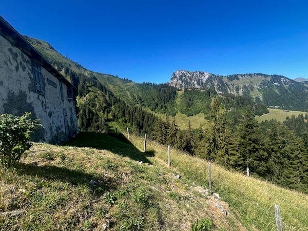 À vendre, Chalet, 1658 Rossinière, Réf Tsamufins 7