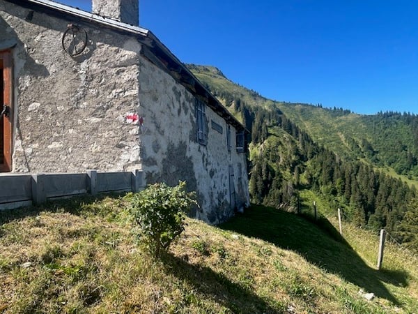À vendre, Chalet, 1658 Rossinière, Réf Tsamufins 5