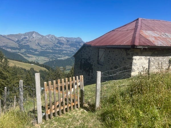 À vendre, Chalet, 1658 Rossinière, Réf Tsamufins 13