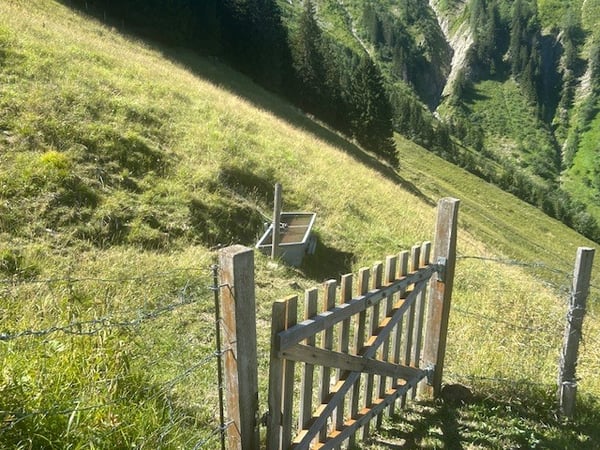 À vendre, Chalet, 1658 Rossinière, Réf Tsamufins 11