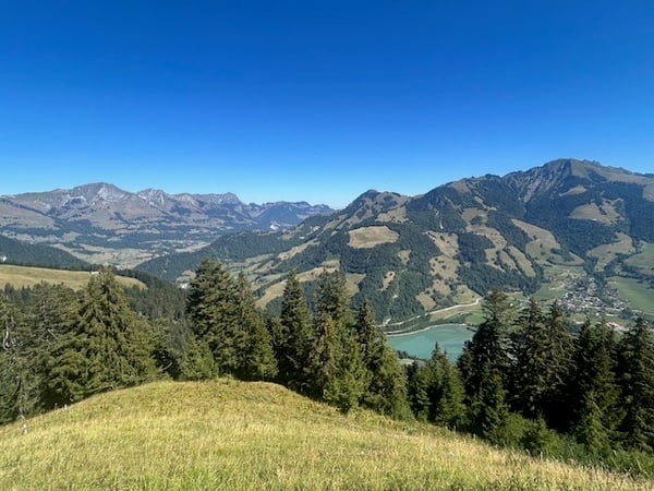 À vendre, Chalet, 1658 Rossinière, Réf Tsamufins 9