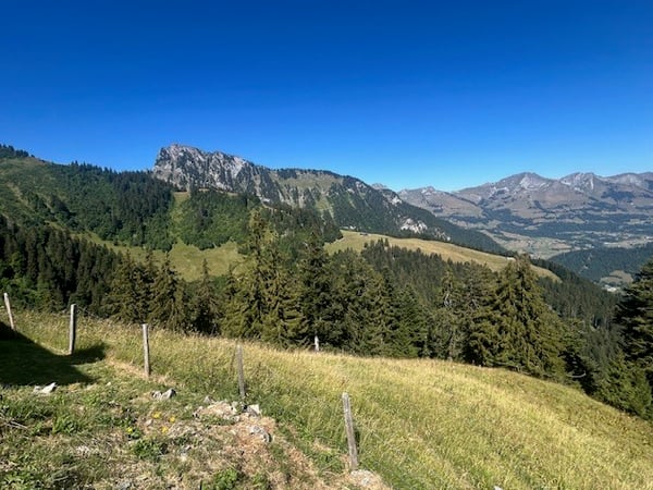 À vendre, Chalet, 1658 Rossinière, Réf Tsamufins 8
