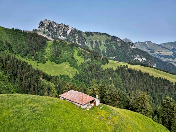 À vendre, Chalet, 1658 Rossinière, Réf Tsamufins 3