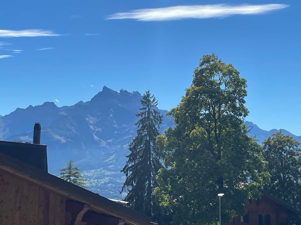 Beau chalet à proximitié du ski 28