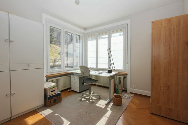 Grand appartement de rendement dans maison de maître avec jardin 5