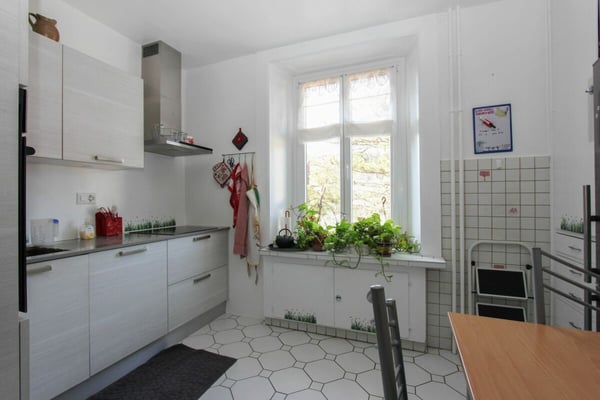 Grand appartement de rendement dans maison de maître avec jardin 7