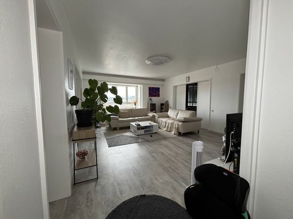 Lumineux et spacieux appartement de 1 pièces 3