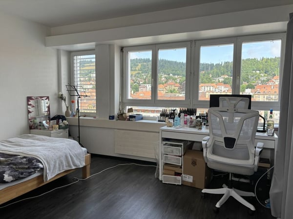 Lumineux et spacieux appartement de 1 pièces 6