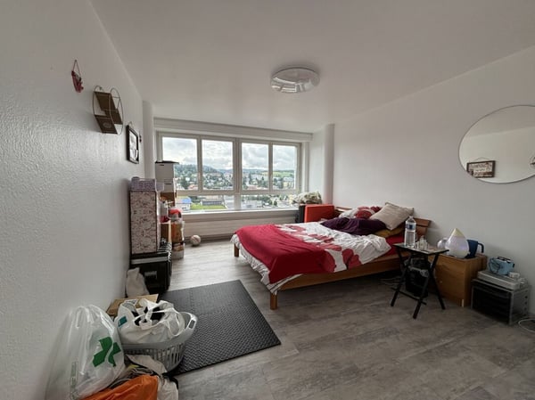 Lumineux et spacieux appartement de 1 pièces 5