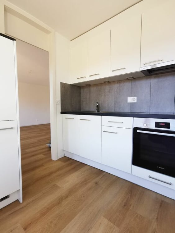 Lumineux appartement de 1 pièces 2