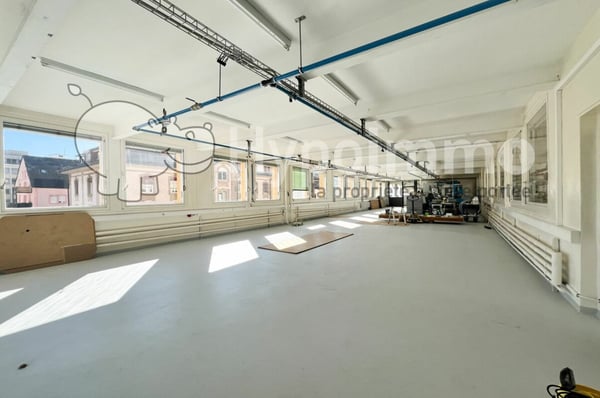 Surface industrielle/commerciale de 240 m2 à louer au Locle 1