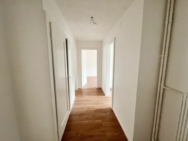 Appartement de 1 pièces entièrement rénové 4