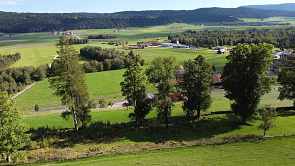 Superbe villa individuelle neuve de 1.5 pièces avec vue ! 13