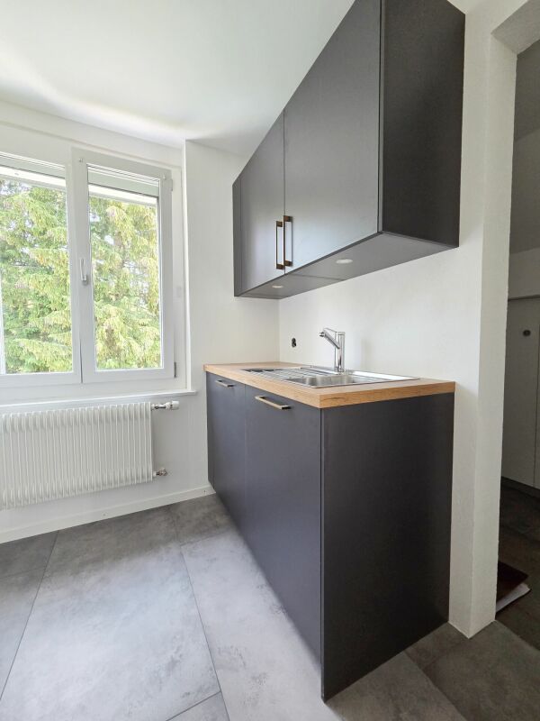 Magnifique appartement de 4.5 pièces entièrement rénové