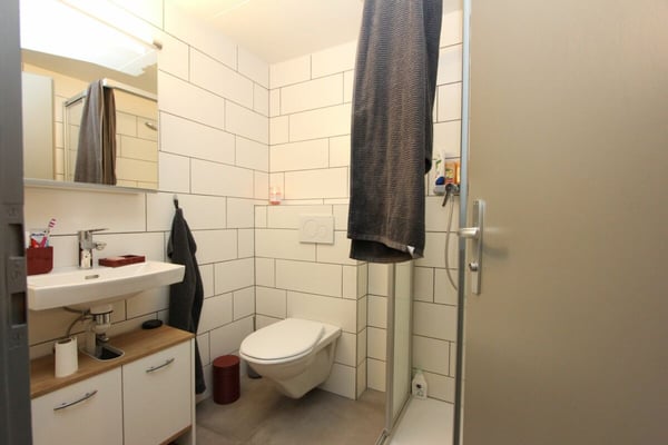 Magnifique appartement de 5.5 pièces avec cachet 6