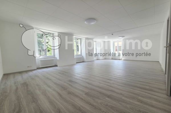 Appartement ou local commercial entièrement rénové