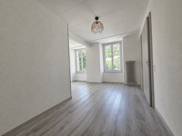 Appartement ou local commercial entièrement rénové 5