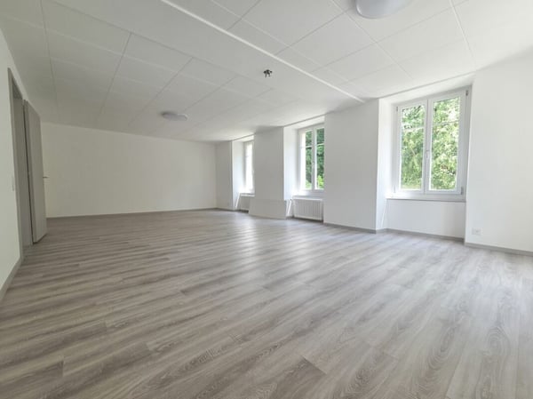 Appartement ou local commercial entièrement rénové 2