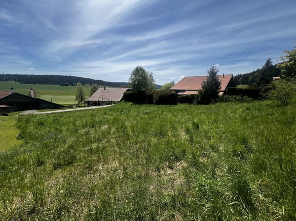 Terrain à bâtir en Zone d'Habitation à Faible Densité 4