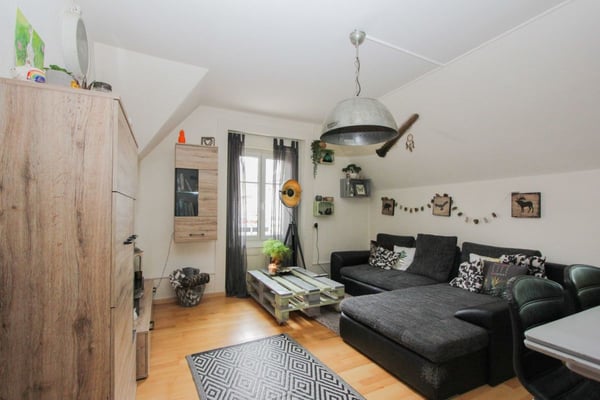 Immeuble remarquable avec vue sur le Doubs 6