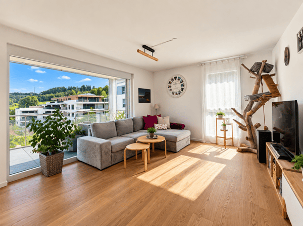 Magnifique appartement de 4.5 pièces avec terrasse 2