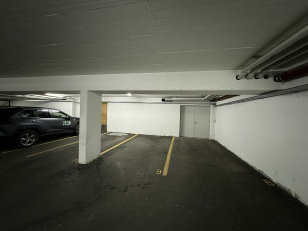 Local + Place de parc intérieure - Vétroz 2
