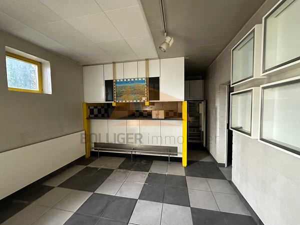 A vendre Halle d'exposition, bureaux, dépôts, garages et stand de tir 10