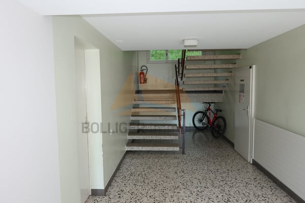 A VENDRE Appartement de 1.5 pièces et garage en PPE 4