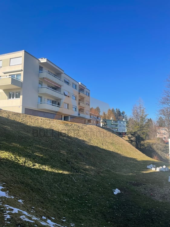 A VENDRE APPARTEMENT DE 1.5 PIÈCES EN PPE ET GARAGE 3