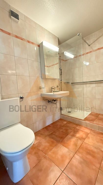 A VENDRE APPARTEMENT RÉNOVÉ DE 1.5 PIÈCES AVEC LOGGIA ET ANNEXES 9