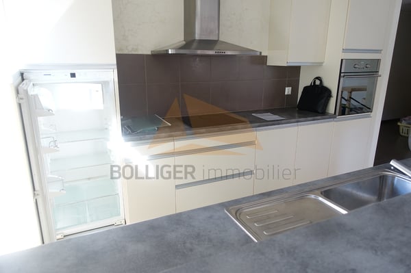 A vendre pour investisseurs  Appartement en PPE de 1.5 pièces 10