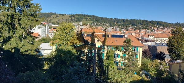 A VENDRE APPARTEMENT DE 1.5 PIÈCES AVEC BALCON ET GARAGE BOX 8