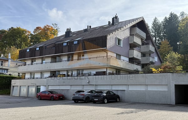 A VENDRE APPARTEMENT 1.5 PIÈCES DE 138 M2 AVEC GARAGE DOUBLE 3