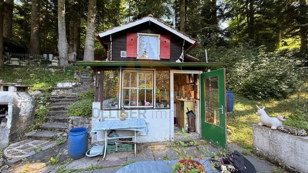 A VENDRE CHARMANTE PETITE MAISON FORESTIÈRE
