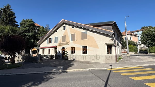 A VENDRE TRÈS BEL IMMEUBLE MIXTE 2