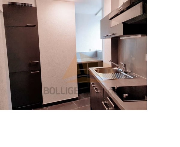 A VENDRE TRÈS BEL IMMEUBLE MIXTE 12