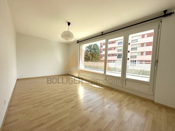 A VENDRE magnifique attique de 5.5 pièces et annexes 6