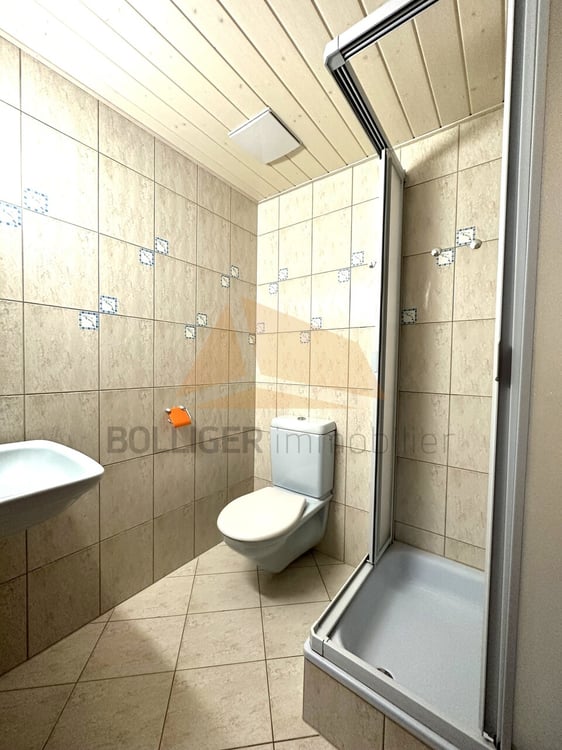 A VENDRE magnifique attique de 5.5 pièces et annexes 11